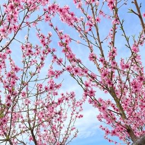 Meet your Posher, Jasmin